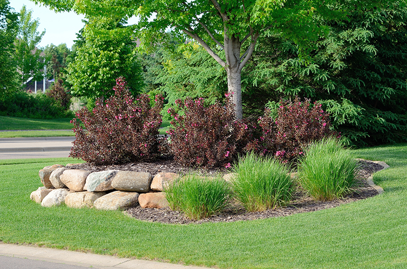 Best Landscaping Company Garcia S, Best Shrubs For Commercial Landscaping